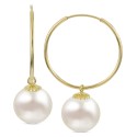 Cultured Freshwater Pearl (10mm) Dangle Hoop Earrings in 14k Gold